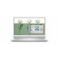 thumbnail image 2 of Dell Inspiron 14 5000 Premium Business Laptop Computer 14" FHD Anti-glare 11th Gen Intel Core i3-1115G4 Processor 16GB DDR4 256GB SSD Backlit KB HDMI Wifi6 MaxxAudio Webcam Win10, 2 of 6
