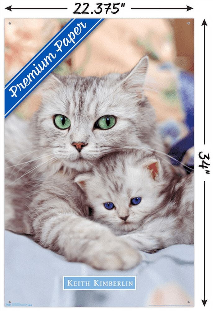 Keith Kimberlin - Momma and Kitten Wall Poster with Push Pins, 22.375" x 34"