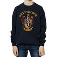 thumbnail image 3 of Harry Potter Boys Gryffindor Cotton Sweatshirt, 3 of 6