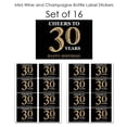 thumbnail image 6 of Big Dot of Happiness Adult 30th Birthday - Gold - Mini Wine & Champagne Bottle Label Stickers - Birthday Party Favor Gift for Women & Men - Set of 16, 6 of 6
