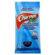 Charmin Moist Wipes To Go 10 wipes/pack (9 Pack)