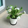 thumbnail image 1 of RENACLIPY 2Ud Ceramic Plant Saucers for Indoors Black Durable for Collecting Water and Soil Spills, 1 of 6