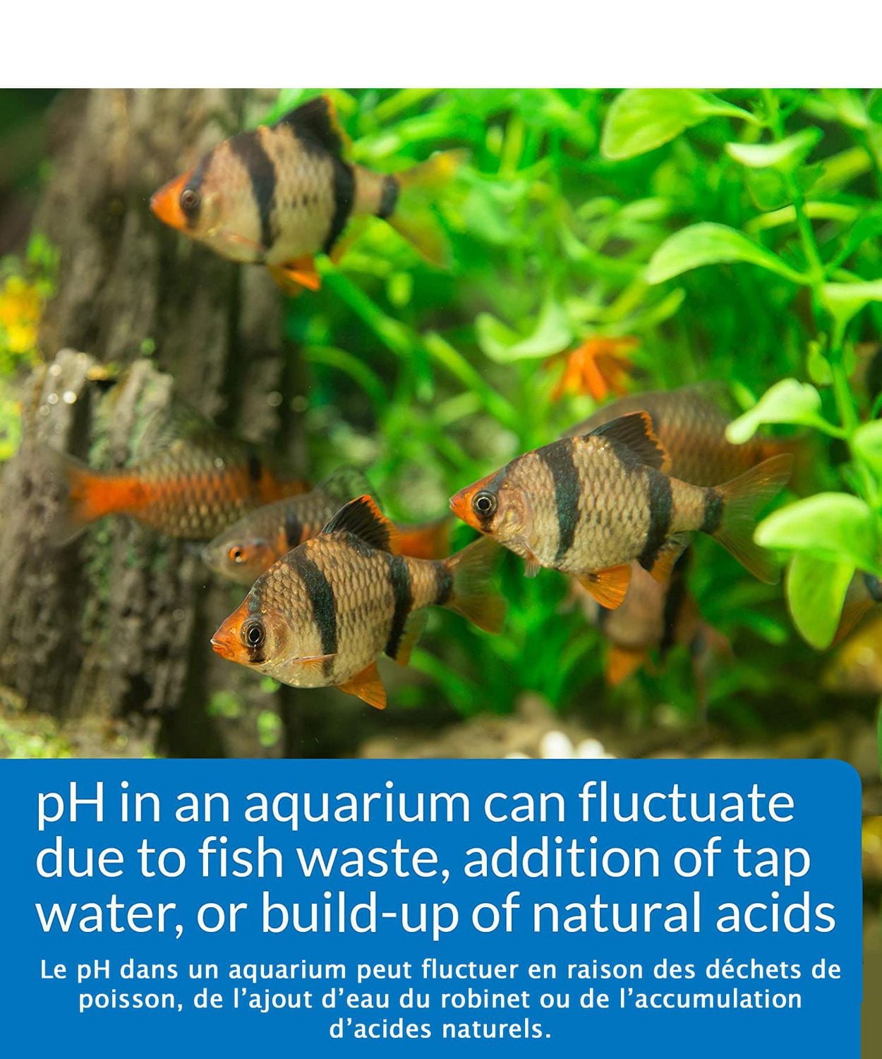 Kit de test de pH de luxe pour eau douce API