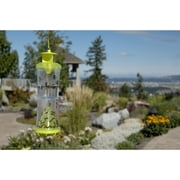 RESCUE! Outdoor Reusable W•H•Y Trap for Wasps, Hornets, and Yellowjackets Trap, 1 Pack
