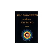 Self Awareness in the Game of Life Revealed Through the Magic of Children's Theatre (Paperback)