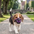 thumbnail image 2 of Breathable Mesh Dog Muzzle for Small Dogs, Anti Bite Bark Scavenge Licking Pet Mouth Guard, Soft Airy Comfortable Muzzle for Grooming Walks, Purple, 2 of 5