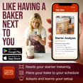 thumbnail image 4 of Kit de inicio de masa madre Superbaking con banneton Basket y más, 4 of 9