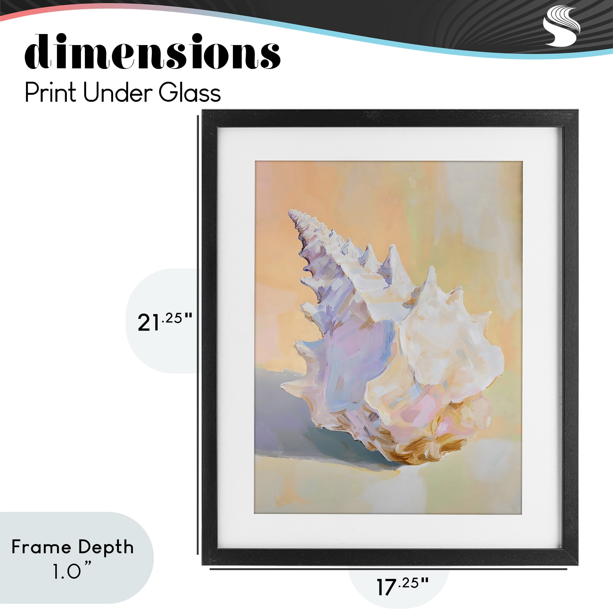 Stupell Industries Vintage Shell in Pastel Light Black Framed Print Under Glass, design by The Prints Vibe
