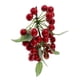thumbnail image 4 of Modelo de comida de fruta Cherry Rojo Artificial Zulema, 4 of 6