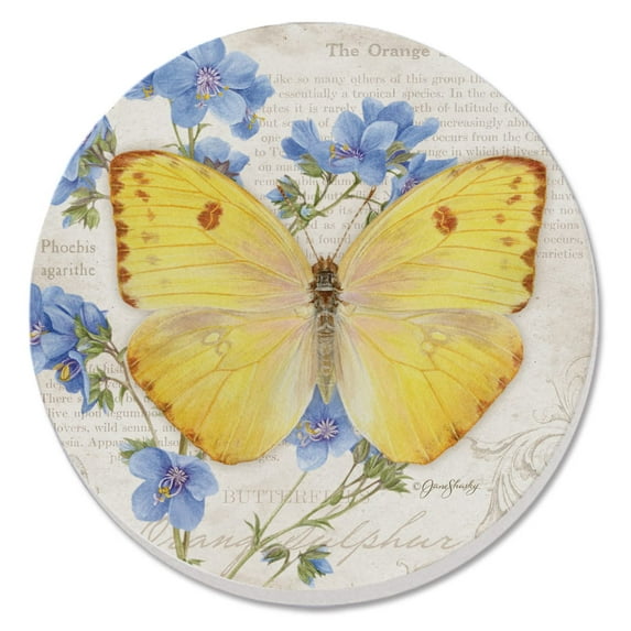 CounterArt "Orange Sulphur Butterfly" Single Round Absorbent Stone Coaster