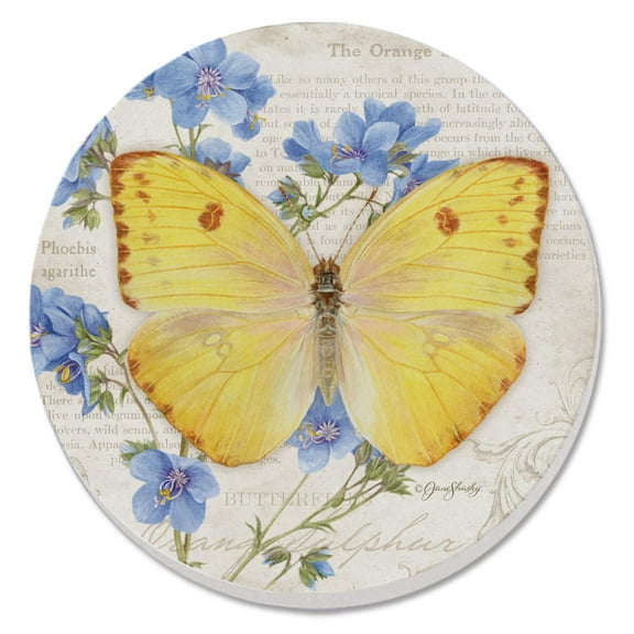 CounterArt "Orange Sulphur Butterfly" Single Round Absorbent Stone Coaster