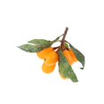 thumbnail image 1 of Artificial Simulation Fruits Model Yellow Loquat for Home Kitchen Decoration, 1 of 7