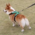 thumbnail image 4 of Flmtop Pet Leashes Adjustable Breathable Polyester Walking Safety Dog Harness for Puppy Green, 4 of 9