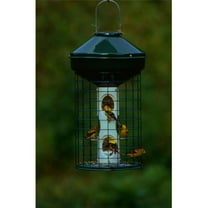 Vari-Crafts Wire Cage Mixed Seed Feeder 3 Gal. No Pole