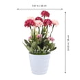 thumbnail image 2 of FESTFENDS Planta Artificial Roja Para Escritorio Con Alta Simulación Y Duradera, 2 of 7
