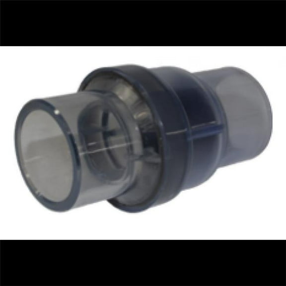 HydroQuip 71980 1.5 in. Check Slip Hot Spring Valve Assembly