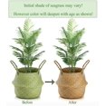 thumbnail image 4 of Cesta Yesland para almacenamiento de plantas de hierba marina tejida, 30 x 27 cm, tamaño L, 4 of 7