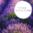thumbnail image 6 of Lavodia Lavender Bags 20 Premium Fragrance Sachets with Natural Lavender Flowers, 20 Count, 6 of 8