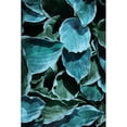 thumbnail image 3 of Villa, Milli 17x24 Black Modern Framed Museum Art Print Titled - TealMuli Leaves, 3 of 5