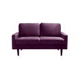 thumbnail image 4 of Koby Home's X Collection Morrison Modern Loveseat, Upholstered in Performance Velvet with Track Arms, Cushion Back, and Wooden Legs, 2-Seater for Small Space, Eggplant Purple Color, 4 of 4