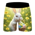 thumbnail image 6 of XIAONU Men's Easter Bunny Print Boxer Briefs Slim Fit Mid Length Elastic Waistband Soft Stretchy Underwear, 6 of 6