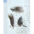 thumbnail image 2 of Schlabach, Sue 20x24 White Modern Wood Framed Museum Art Print Titled - Plume Letters VI, 2 of 4