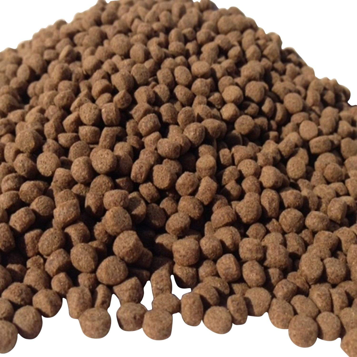 Aquatic Foods 25 Silkworm Koi & Pond Fish 3/16" Floating Pellets for