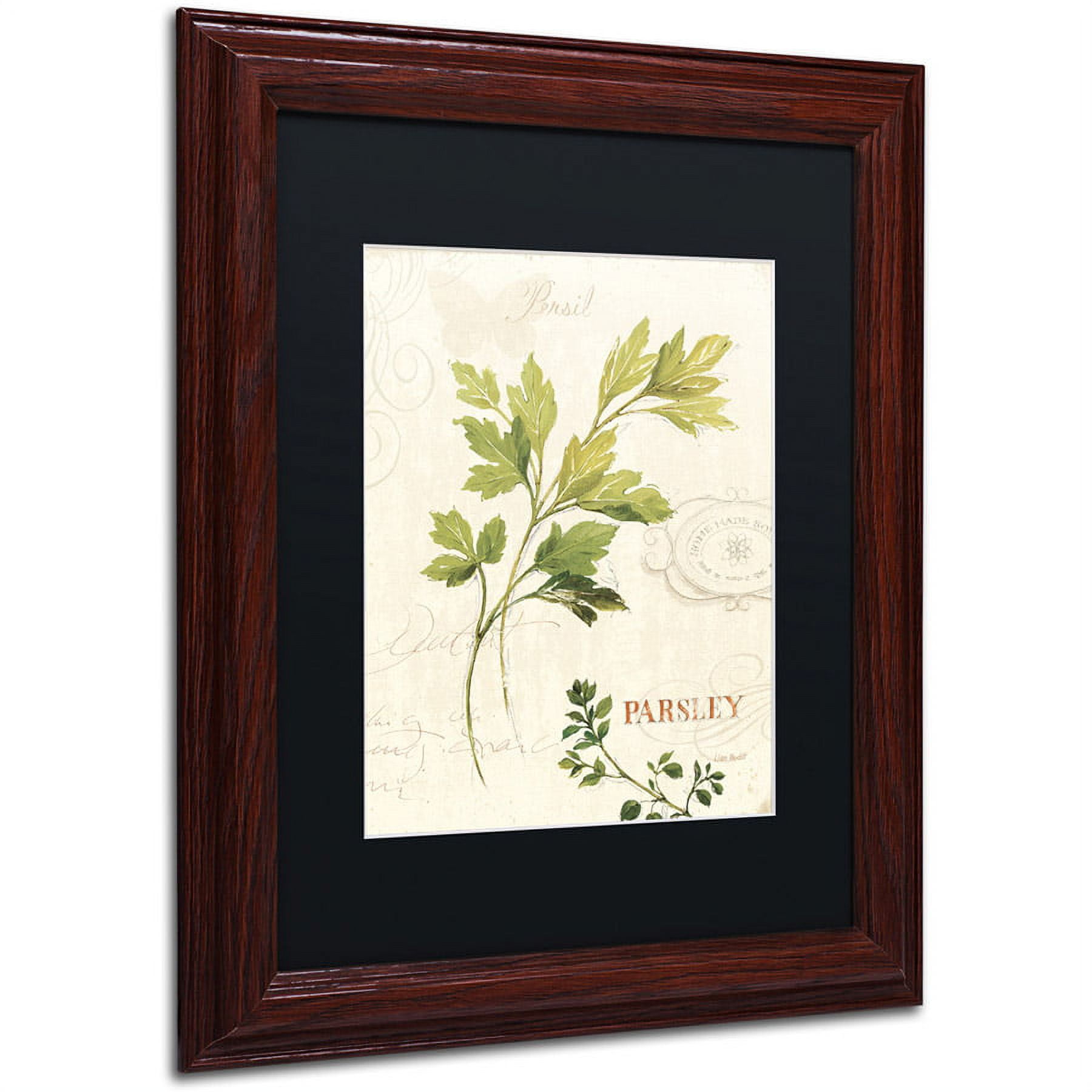 Trademark Fine Art "Aromantique I" Canvas Art by Lisa Audit, Black Matte, Wood Frame