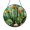 Acrylic 3.5 Inch, variant on Desert Cactus Scene Window Suncatcher, Decorative Stained Glass Style Hanging Art, Thoughtful Nature Gift