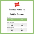 thumbnail image 5 of Hanes Infants/Toddlers Brief Underwear, Toddler Boys' Cotton Stretch Briefs, 5 of 7