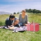 thumbnail image 5 of Bolsa de picnic de gran capacidad - Cesta aislante de camping con forro térmico de aluminio de aluminio, 23x14x20cm, resistente a fugas y espaciosa para viajes al aire libre, 5 of 6