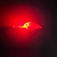 thumbnail image 4 of Señuelos de pesca con luz LED Sharp Fishing Wobbler Accesorios para exteriores (marrón) Ehuebsd Para Estrenar, 4 of 5