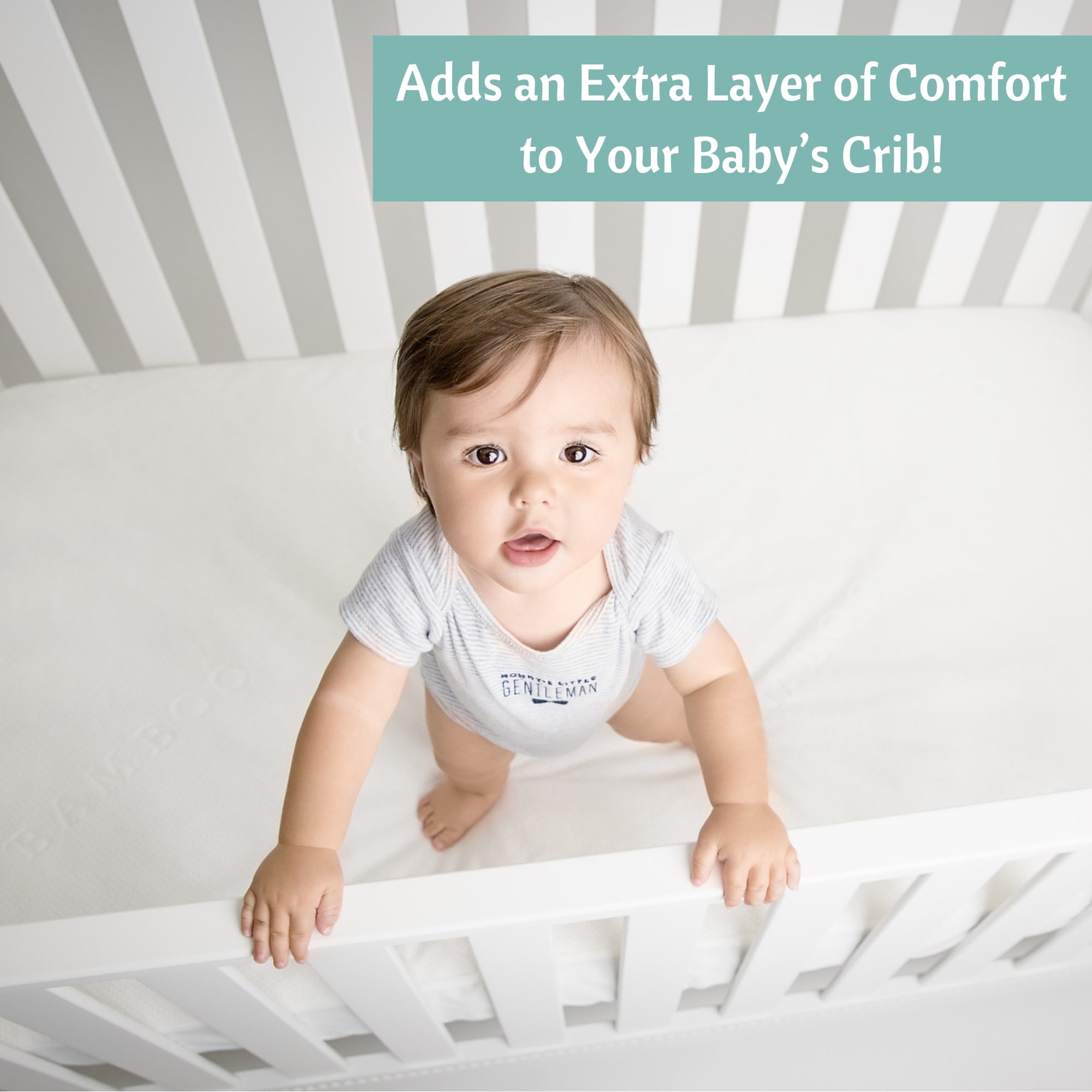 vesta baby crib mattress protector