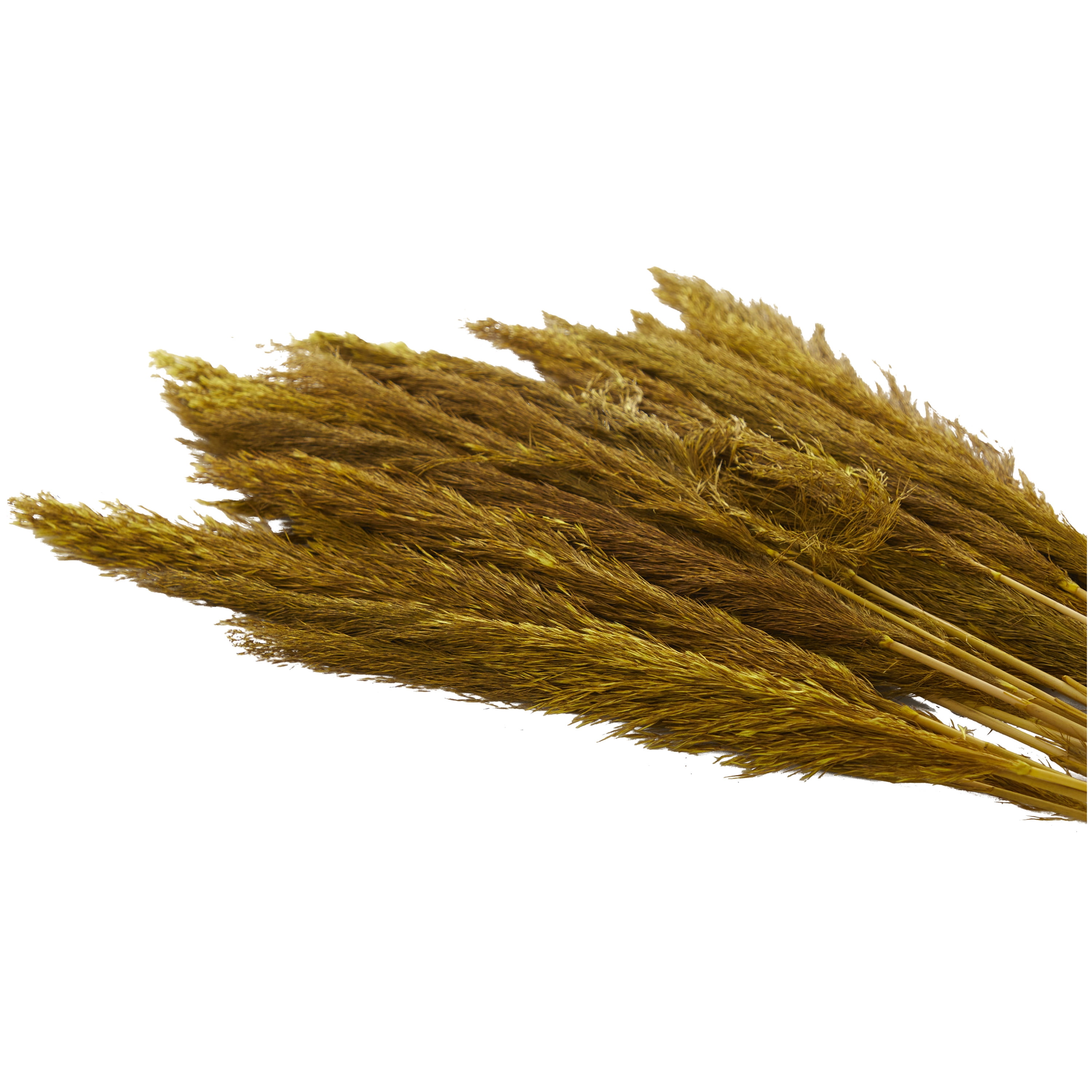 35" Dried Plant Natural Foliage Pampas Bouquet with Long Stems, by DecMode