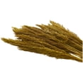 thumbnail image 5 of 35" Dried Plant Natural Foliage Pampas Bouquet with Long Stems, by DecMode, 5 of 8