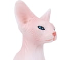 thumbnail image 4 of Fashionable Hairless Cat Model, Durability Cat Model, Nice Gift Children For Collectors Teachers PL127-1562,PL127-1563, 4 of 8