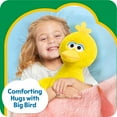 thumbnail image 6 of Sesame Street Large Plush Big Bird Baby and Toddler Toys, 6 of 8