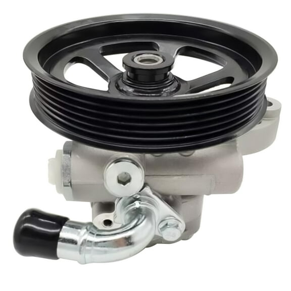 NEWZQ Power Steering Pump for Buick Enclave Chevrolet Traverse GMC Acadia Sport Utility 2007-17 1Pc