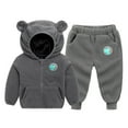 thumbnail image 2 of Fesfesfes Childrens Fleece Hooded Jacket and Pants 2 Piece Set Boys Girls Fall Winter Outfit Soft Warm Casual Playwear Kids Coordinated Set Toddler Homewear Cold Weather Clothes(Gray,3 Years), 2 of 5