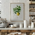 thumbnail image 2 of Lemon (citrus Limonium) Framed Art Modern Wall Decor, 2 of 15