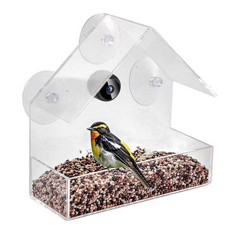 Transparent Window Acrylic Bird Feeder