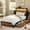 Brown, variant on GUNAITO King Bed Frame with 2 Drawers Headboard Platform Bed Frame with LED Lights Charging Station Rustic Brown