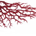 thumbnail image 3 of Acuario Pecera Adorno Rojo Artificial Plantas Subacuáticas Decorar Salvador Acuario Coral Rojo, 3 of 6