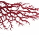 thumbnail image 3 of Adorno Rojo para Acuario Gloria Acuario Coral Rojo, 3 of 6