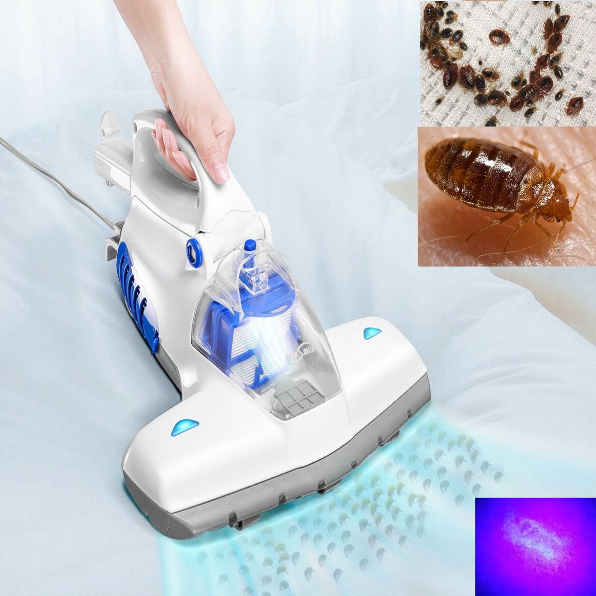 best bed bug vacuum and steamers
