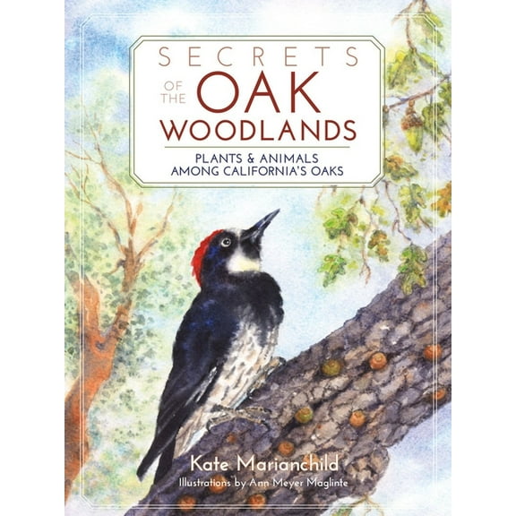 Secrets of the Oak Woodlands: Plants and Animals Among California's Oaks, (Paperback)