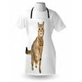 thumbnail image 4 of Kitty Apron, Image of a Scottish Straight with a Raised Paw, Unisex Kitchen Bib with Adjustable Neck for Cooking Gardening, Adult Size, Brown White, by Ambesonne, 4 of 4