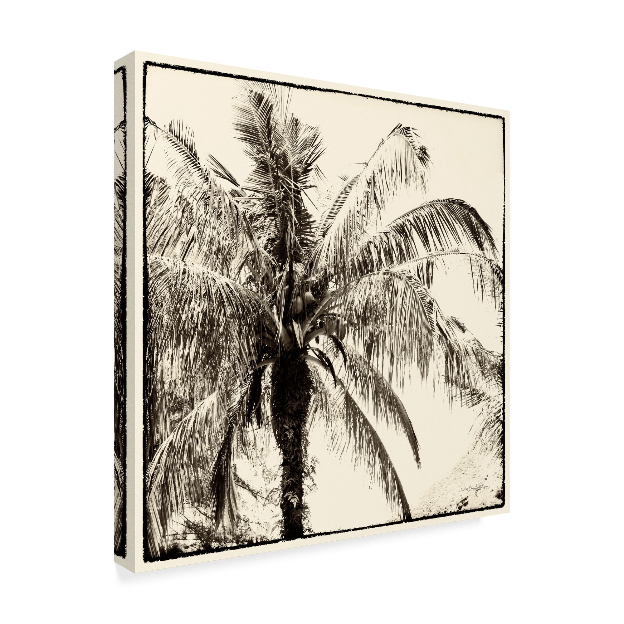 Trademark Fine Art 'Palm Tree Sepia III' Canvas Art by Debra Van Swearingen