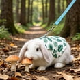 thumbnail image 6 of Rabbit Harness and Leash Set for Outdoor Training Camping Walking, Escape Proof Clothes Bunny Outfits for Rabbits, Kittens, Ferrets, Guinea Pigs (White, M), 6 of 8