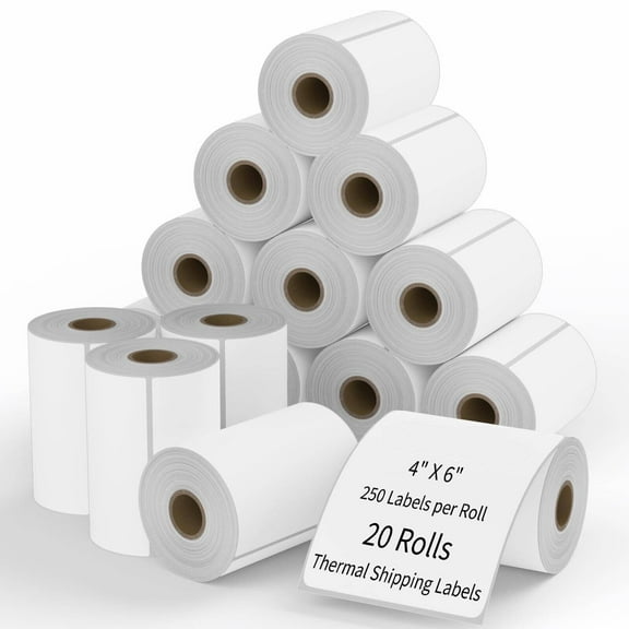 20 Rolls label 4x6 Direct Thermal Shipping 5000 labels Zebra Eltron ZP450 2844